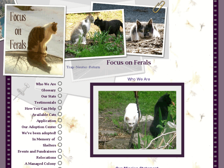 www.focusonferals.org