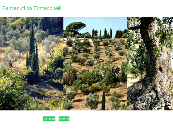 www.fontebonelli.com