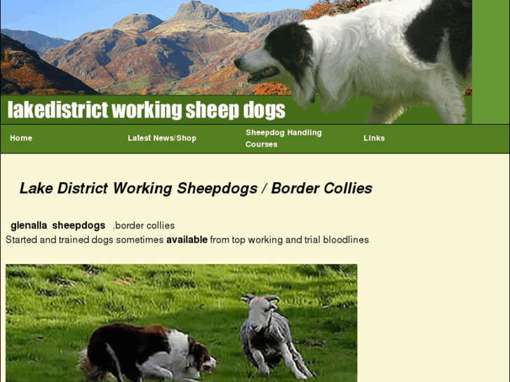 www.lakedistrictworkingsheepdogs.com