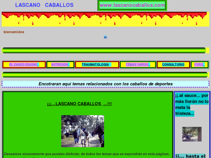 www.lascanocaballos.com