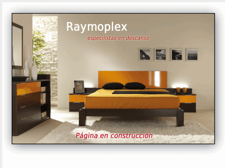 www.raymoplex.com