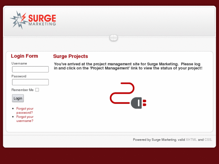 www.surgeprojects.com