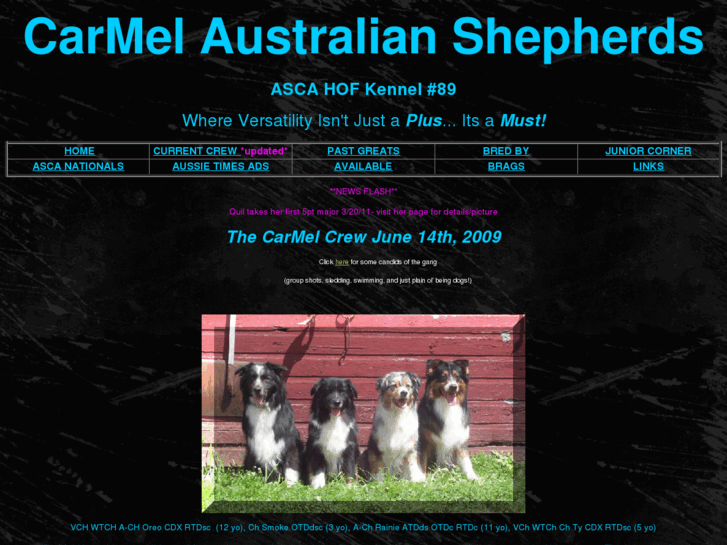 www.carmelaussies.com