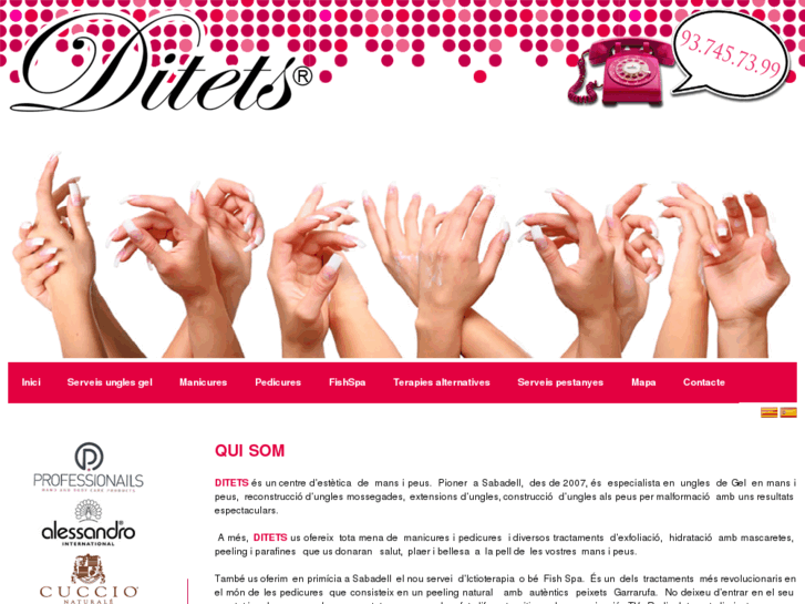 www.ditets.es