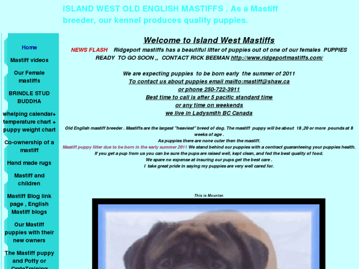 www.englishmastiff2.com