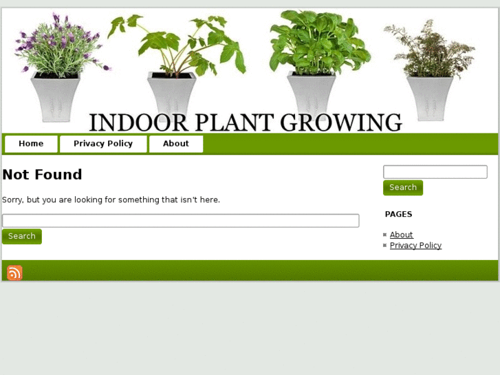 www.indoorplantgrowing.net