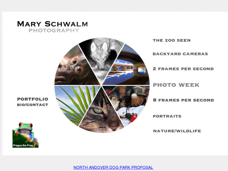 www.maryschwalm.com