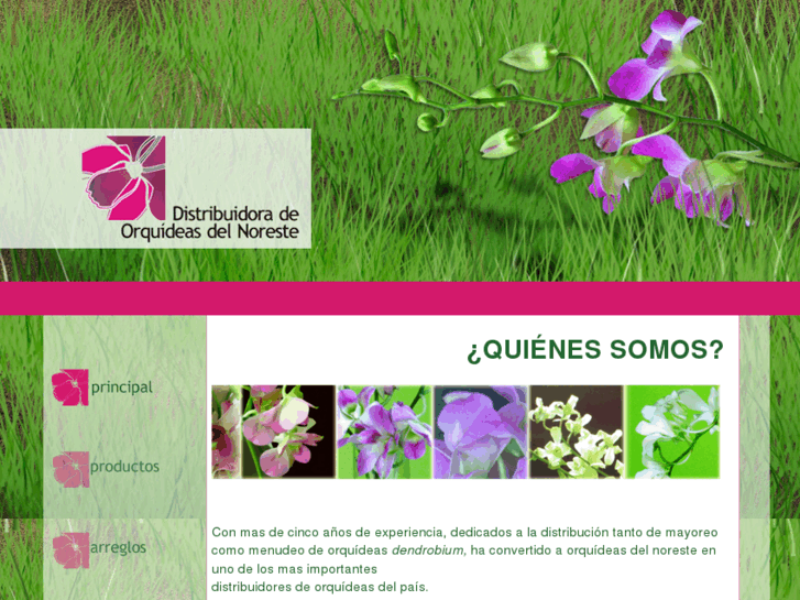 www.orquideasdelnoreste.com