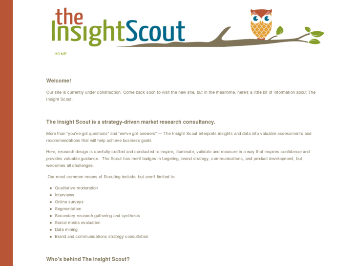 www.theinsightscout.com