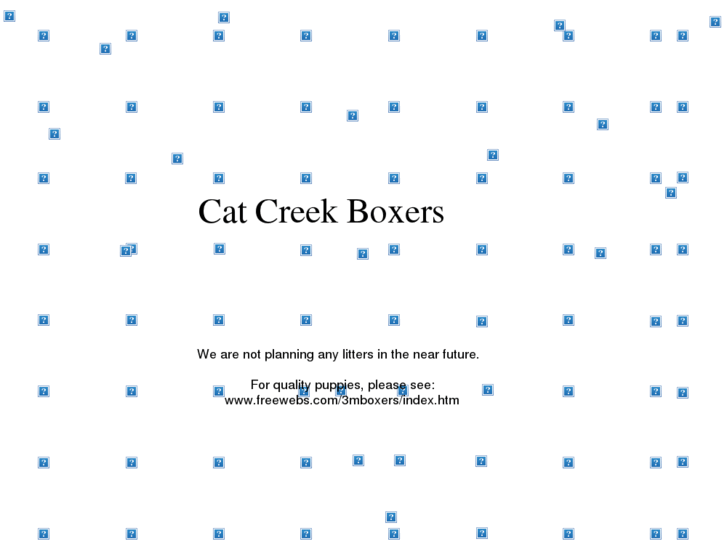 www.catcreekboxers.com