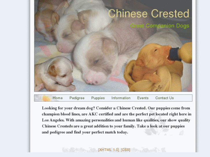 www.chinesecrestedca.com