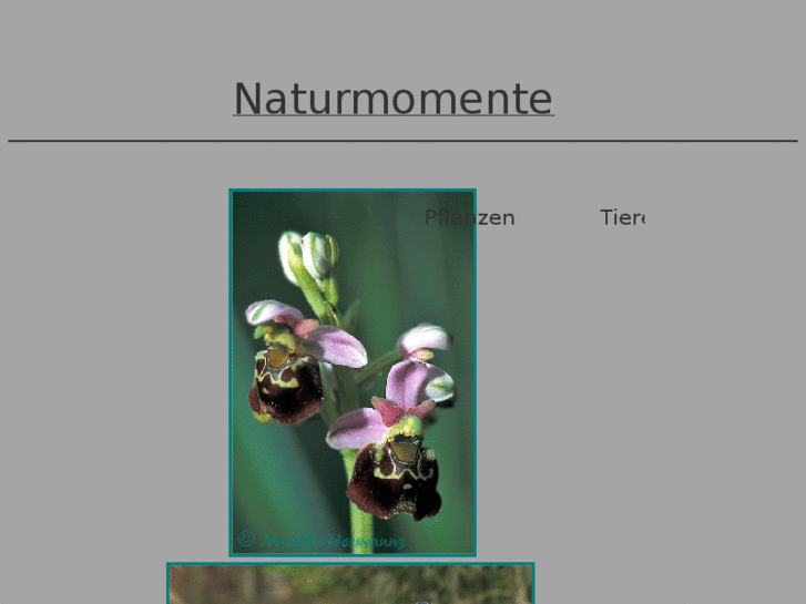 www.naturmomente.com