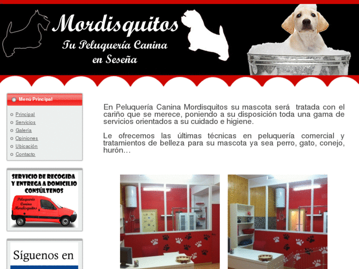 www.pelumordisquitos.com