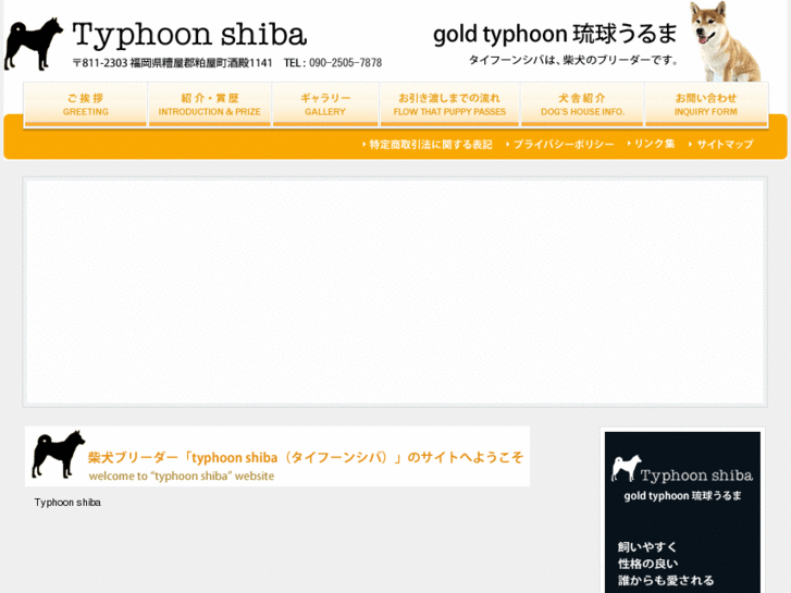 www.typhoonshiba.com