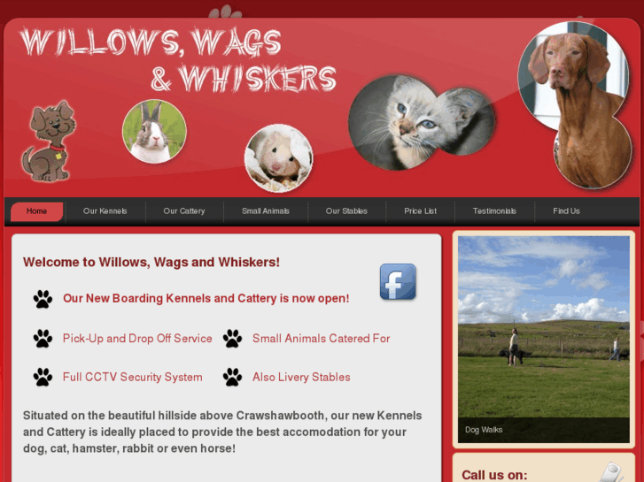 www.willowswagsandwhiskers.co.uk