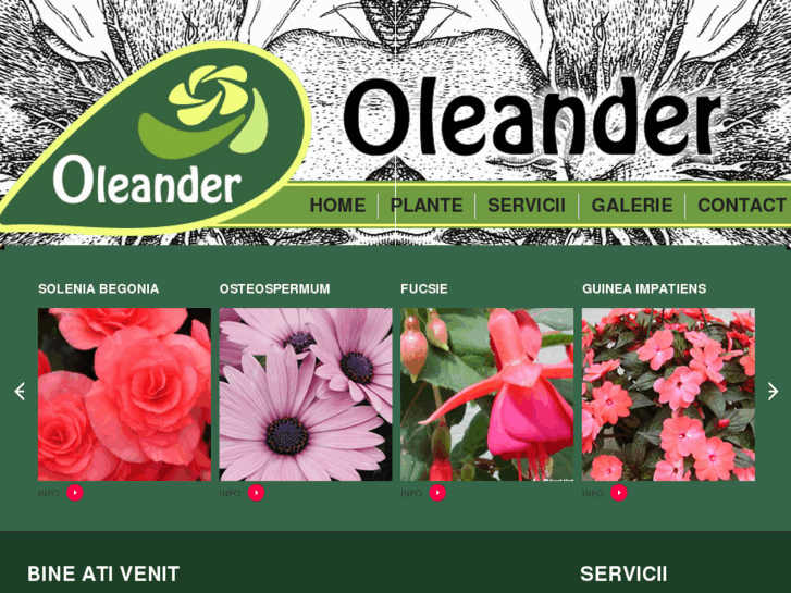 www.oleander.ro