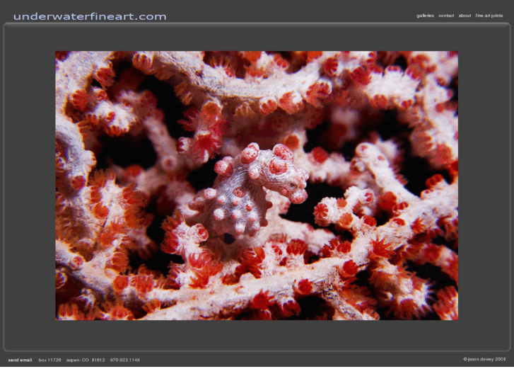 www.reefprints.com