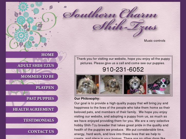 www.shih-tzu4saleinnorthcarolina.com