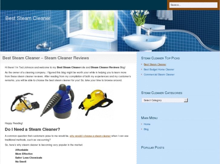 www.steamcleanerbest.com