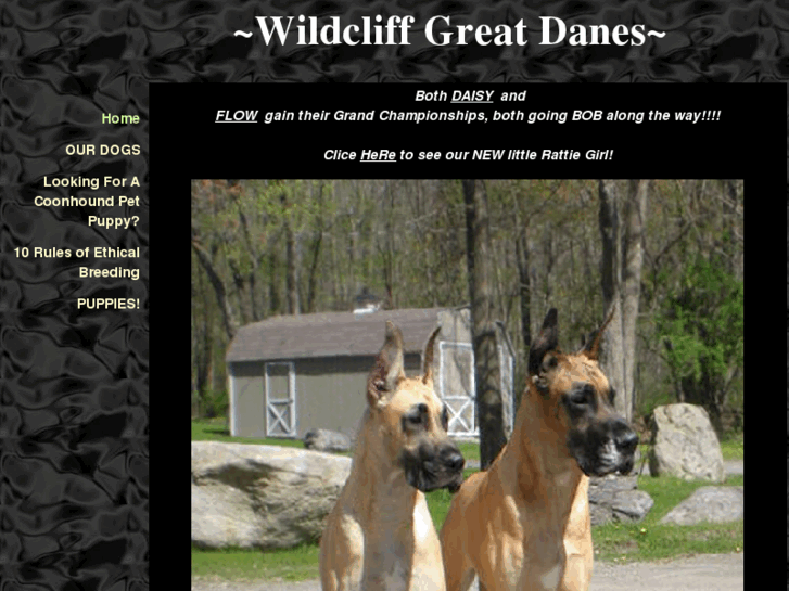 www.wildcliffdanes.com