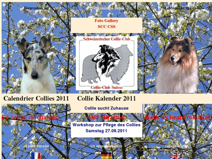 www.collieclub.ch