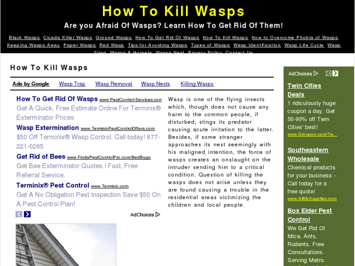 www.howtokillwasps.net