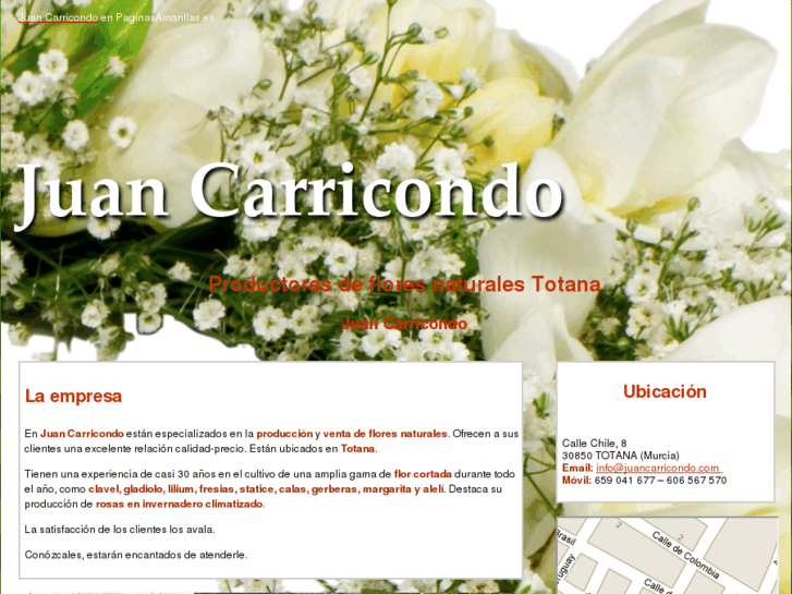 www.juancarricondo.com