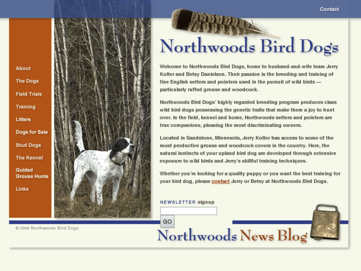 www.northwoodsbirddogs.com