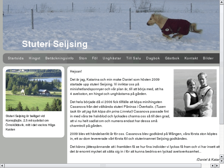 www.stuteriseijsing.se