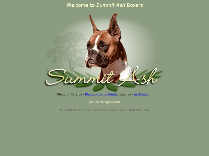 www.summitash.com