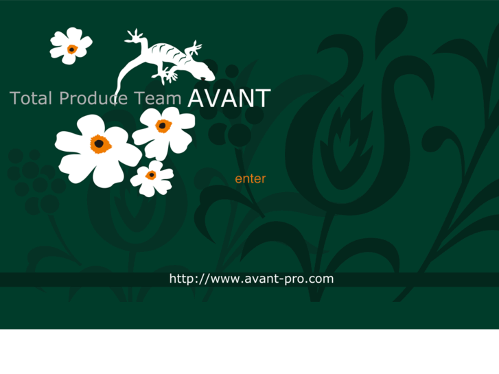 www.avant-pro.com