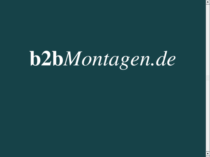 www.b2bmontagen.de