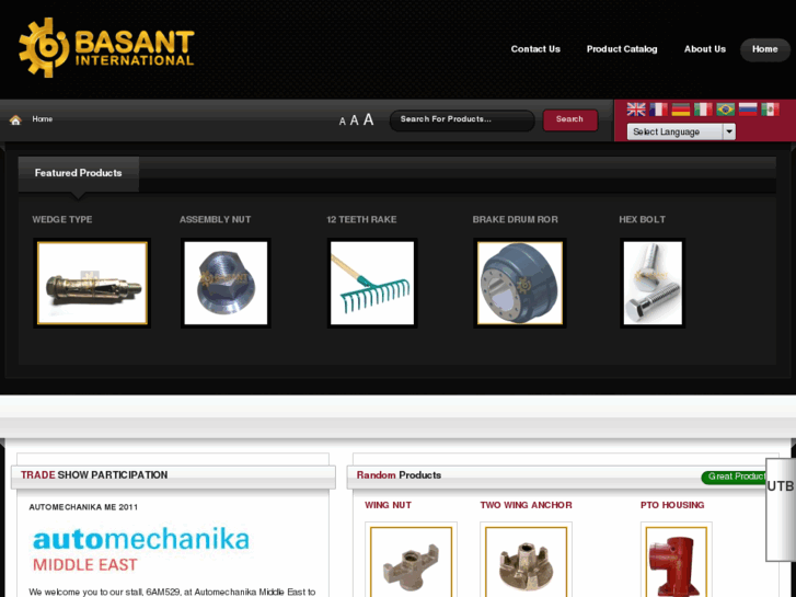 www.basantinternational.com