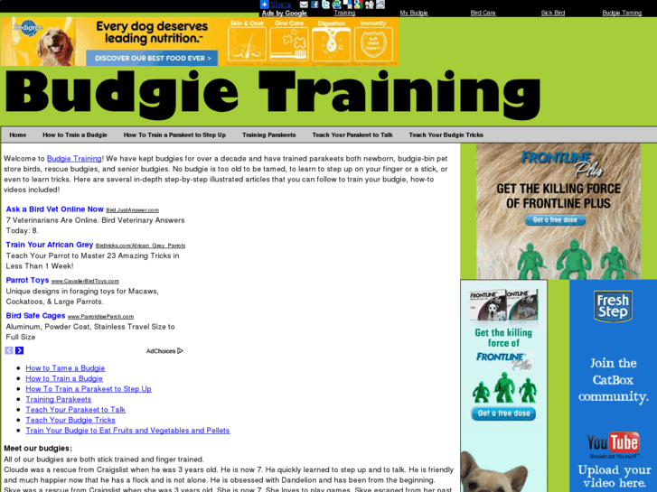 www.budgietraining.com