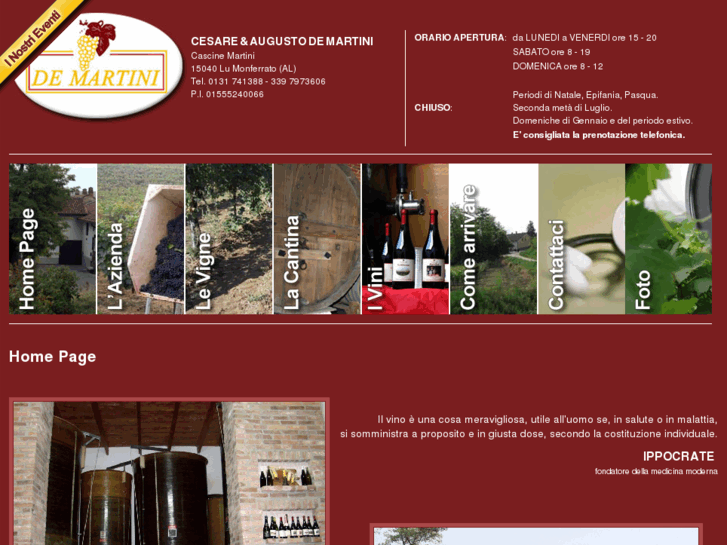 www.demartinivini.com