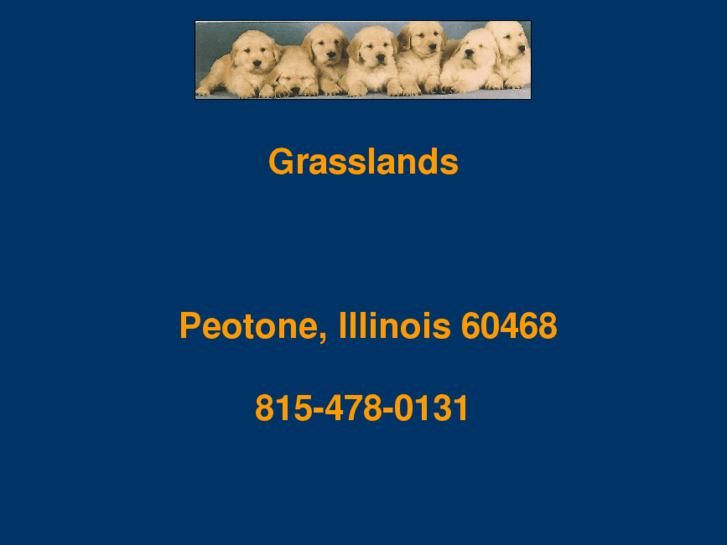 www.grasslandsgoldenretrievers.com