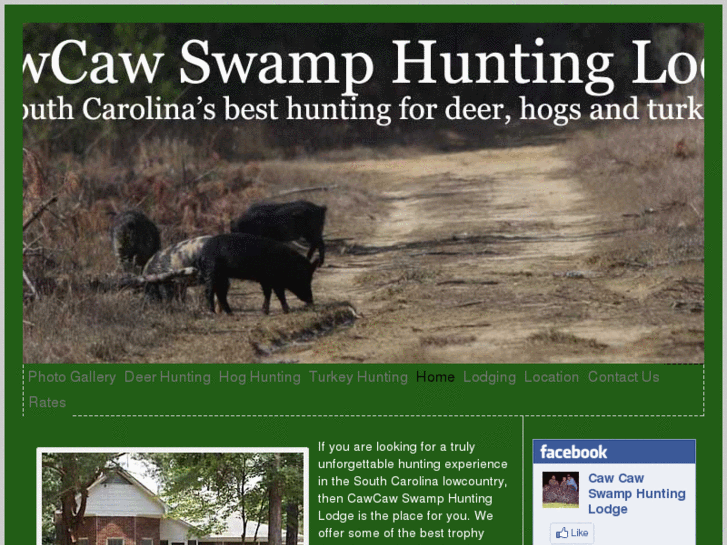 www.greatsouthcarolinahunting.com