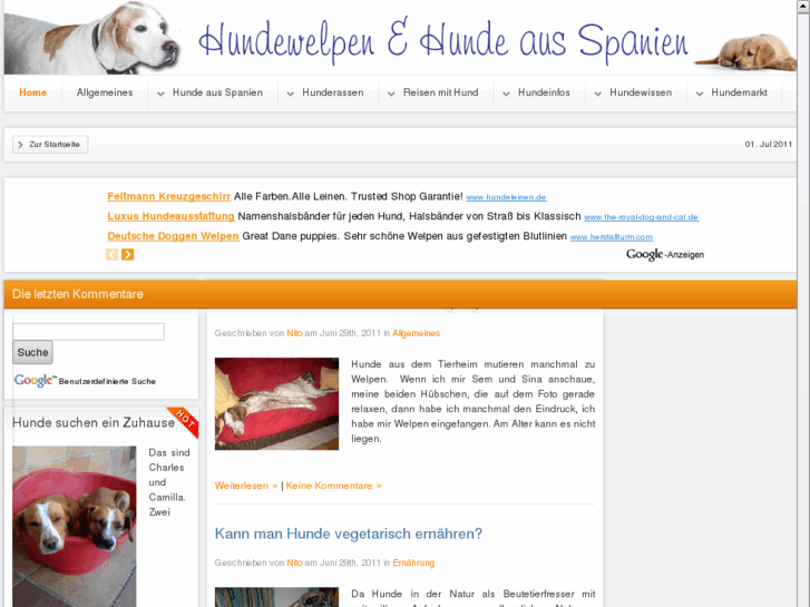 www.hundewelpen-und-hunde-aus-spanien.info