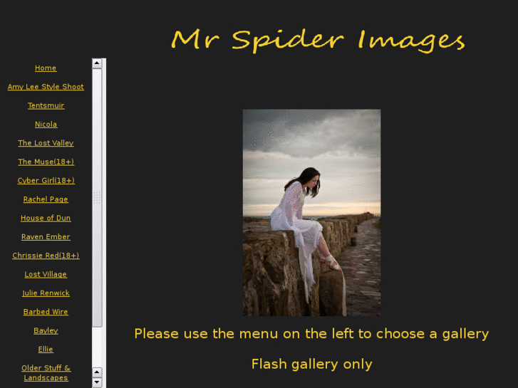 www.mrspider.co.uk