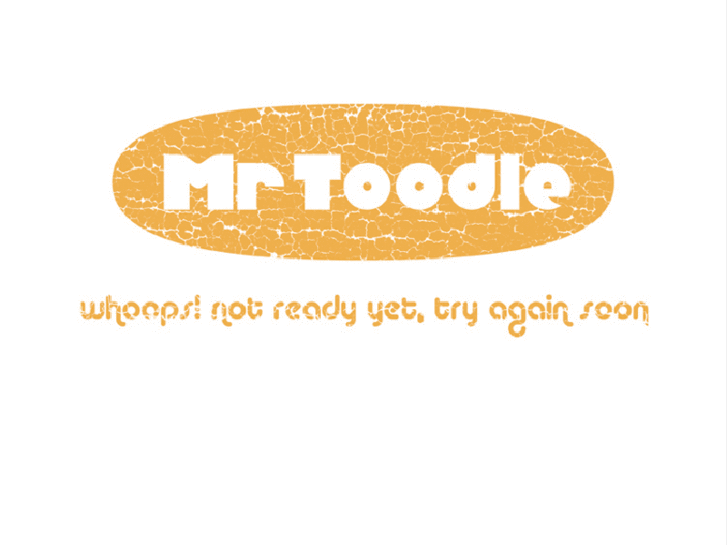 www.mrtoodle.com