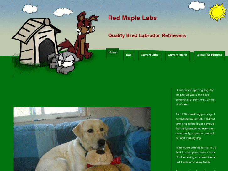 www.redmaplelabs.com