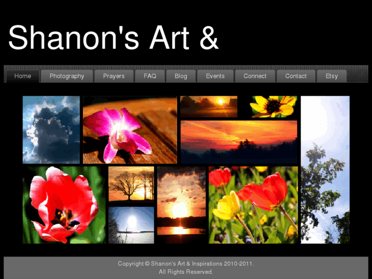 www.shanonsart.com