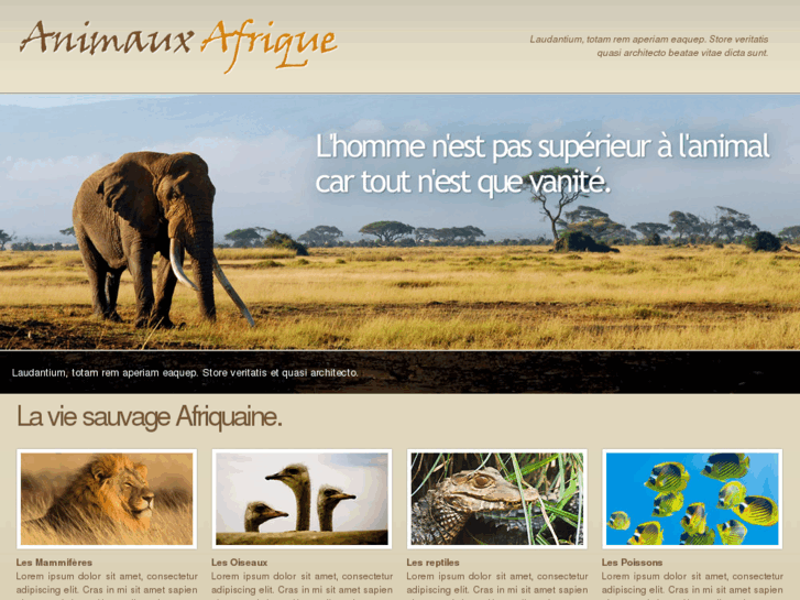 www.animaux-afrique.com