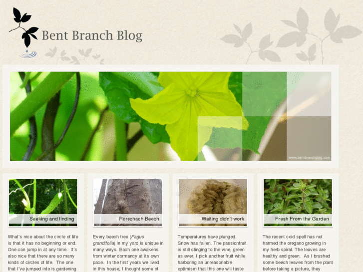 www.bentbranchblog.com