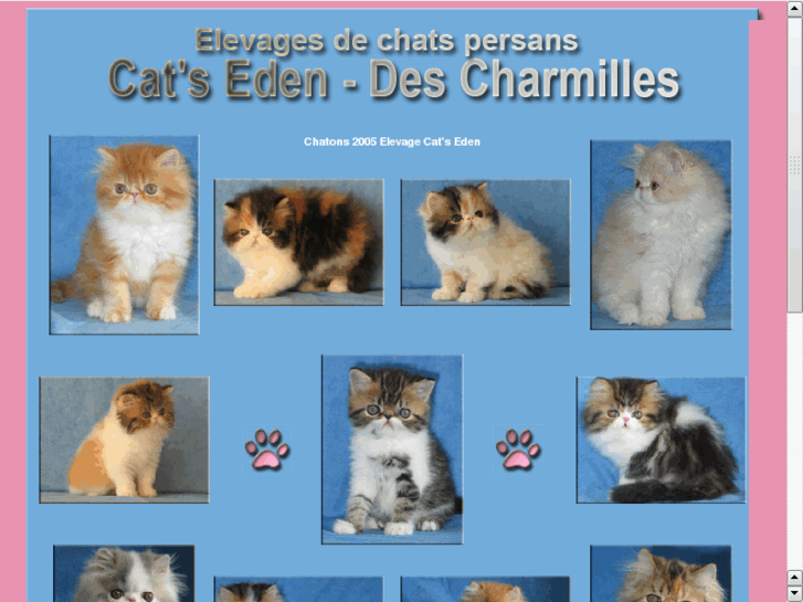 www.chatons-persans.fr