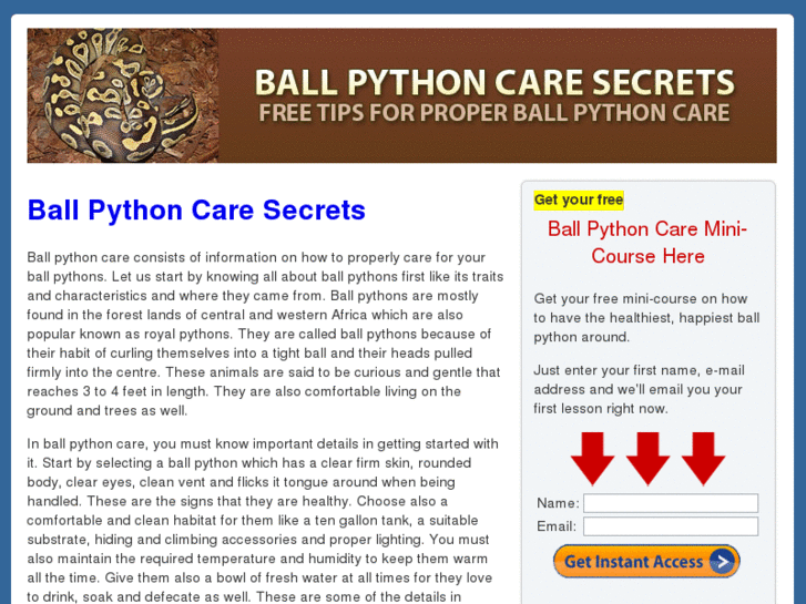 www.ballpythoncaresecrets.com