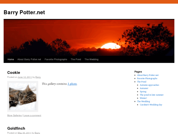 www.barrypotter.net
