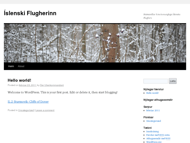 www.flugherinn.net