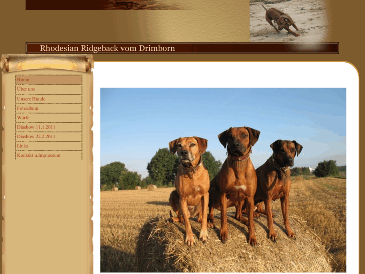 www.rhodesian-ridgeback-vom-drimborn.de