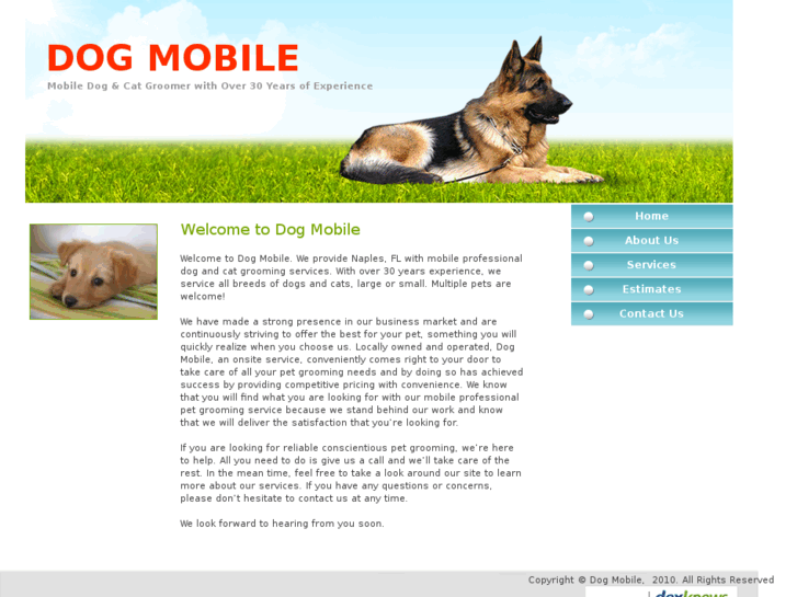 www.dogmobilenaples.com